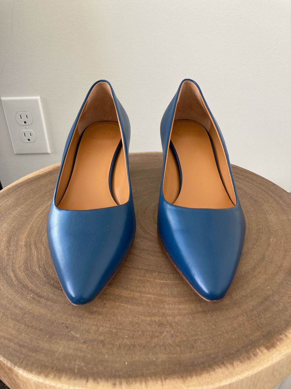 Chloe Pointed-Toe Leather Pumps in Deep Blue